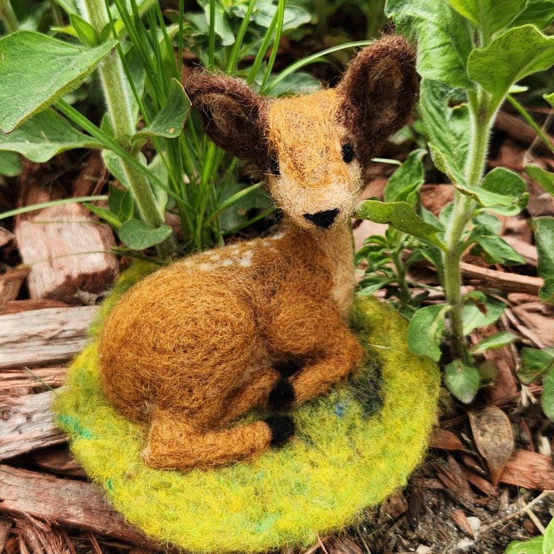 Needle Felting Animals Class